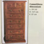 CASSETTIERA-IN-LEGNO-NOCE-62-CASSETTI-164697799701