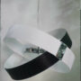 ELISSE-LAMPADARIO-SOSPENSIONE-MODERNO-CROMO-2-CERCHI-BIANCO-E-NERO-4-LUCI-152072497897