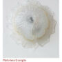 PLAFONIERA-A-1-LUCE-IN-VETRO-TRASPARENTE-GRANIGLIATO-35×12-164273744087
