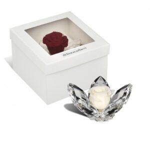 bomboniere matrimonio