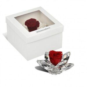 bomboniere matrimonio