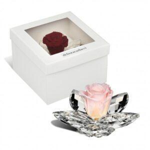 bomboniere matrimonio