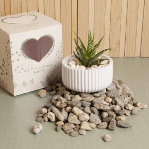 BOMBONIERE MATRIMONIO PIANTINA