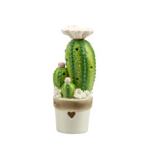 PIANTINA CACTUS/FICHIDINDIA CERAMICA 2 ASS