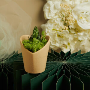 bomboniere matrimonio vasetto con piantina