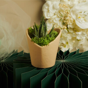 bomboniere matrimonio vasetto con piantina