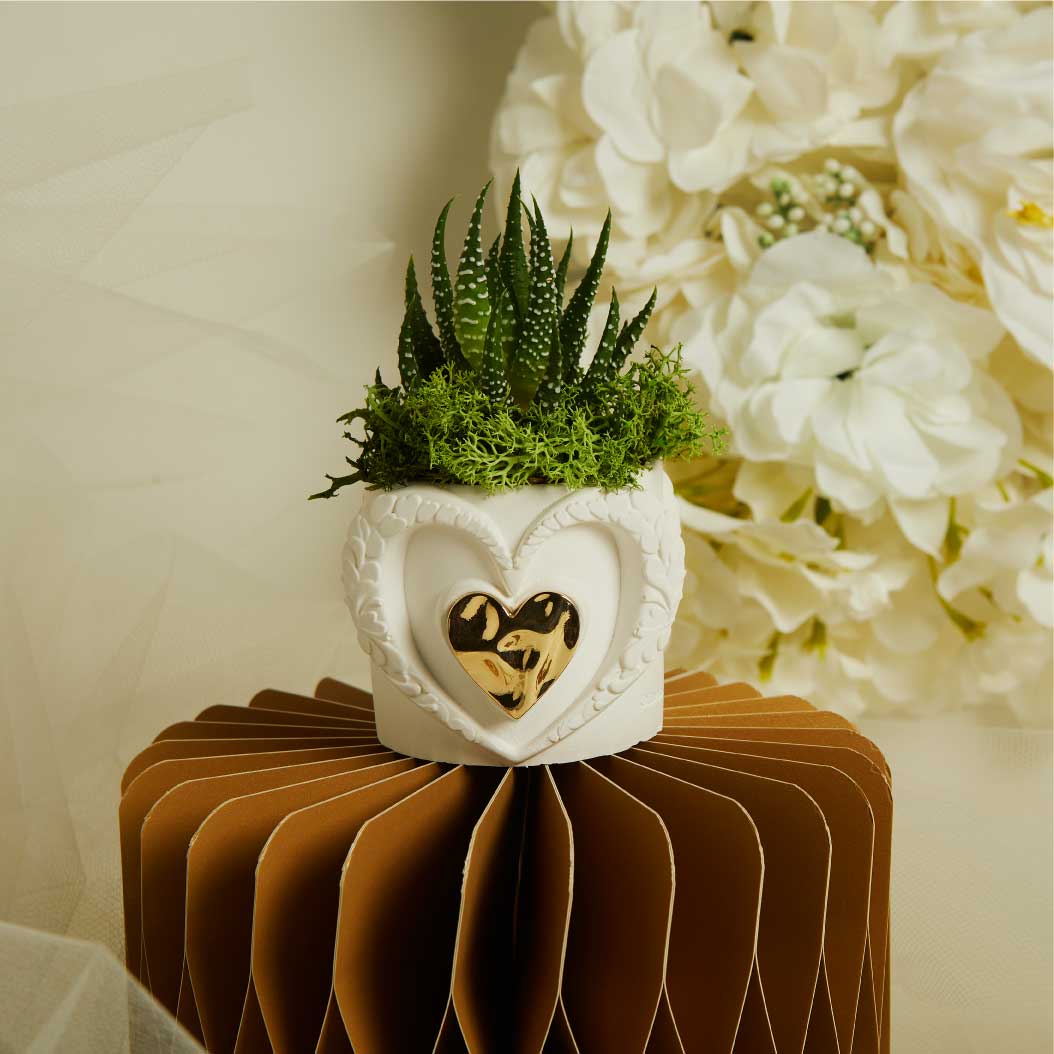 BOMBONIERE MATRIMONIO VASETTO CUORI CON PIANTINA BOMBONIERE MATRIMONIO VASETTO CUORI CON PIANTINA