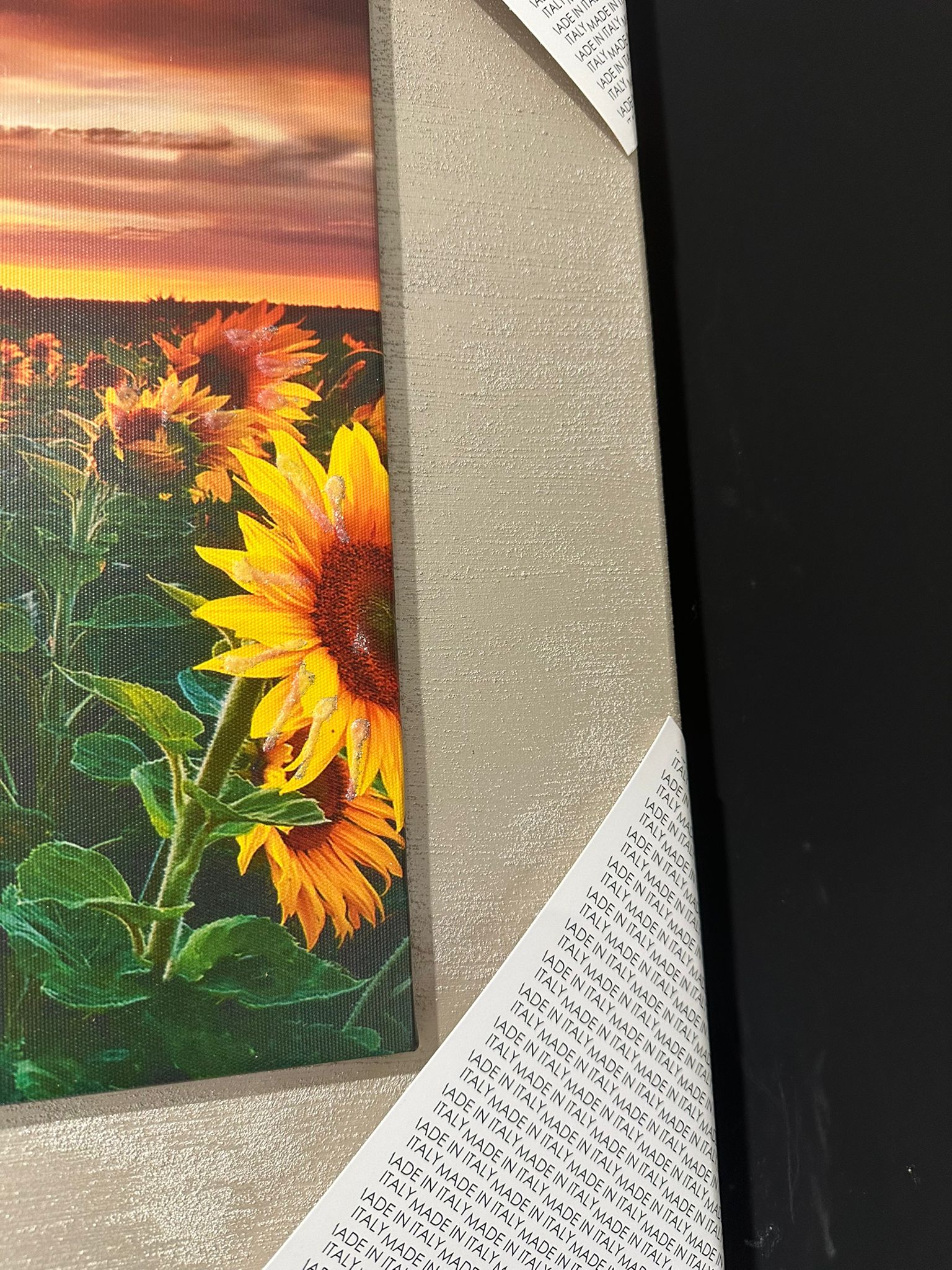 WhatsApp Image 2026-04-09 at 19.49.07