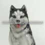 CANE-HUSKY-MEDIO-IN-CERAMICA-BIANCO-E-GRIGIO-ANIMALI-ARREDO-CASA-152895221051