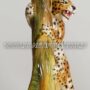 LEOPARDO-MEDIO-SU-ALBERO-IN-CERAMICA-COLORATA-LEONE-PANTERA-TIGRE-ARREDO-CASA-162875878361