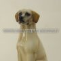 CANE-LABRADOR-MEDIO-SEDUTO-IN-CERAMICA-COLORATO-ANIMALI-ARREDO-CASA-152895261172