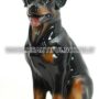 CANE-ROTTWEILER-MEDIO-SEDUTO-IN-CERAMICA-COLORATA-ANIMALI-ARREDO-CASA-152891503554