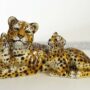 LEOPARDO-CON-CUCCIOLI-IN-CERAMICA-CON-MACCHIE-ANIMALI-PANTERA-LEONE-ARREDO-CASA-162877642024