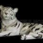 TIGRE-SDRAIATA-IN-CERAMICA-BIANCO-PLATINO-CON-CRISTALLI-SWAROVSKI-ANIMALI-162873567478